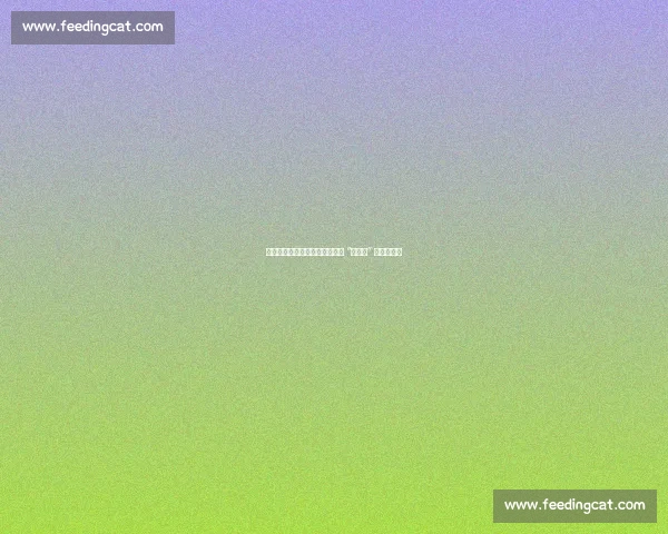 十年磨砺铸锋芒：樊振东从国乒 “修罗场” 到定海神针