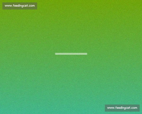 多特加入巴萨中场新星争夺，欧青赛爆发或加速达尔维奇离队