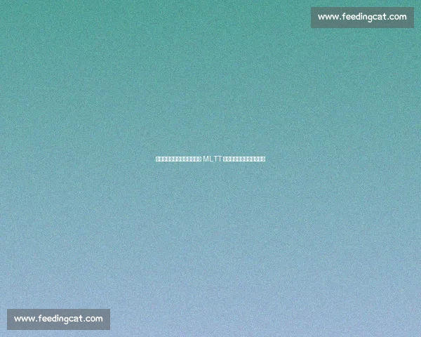 奥运冠军樊振东战略投资美国 MLTT 联赛，开启中美乒乓新纪元