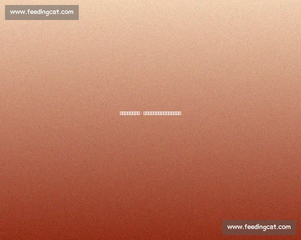 米兰持续追逐哈维 - 格拉：中场补强备选方案浮出水面