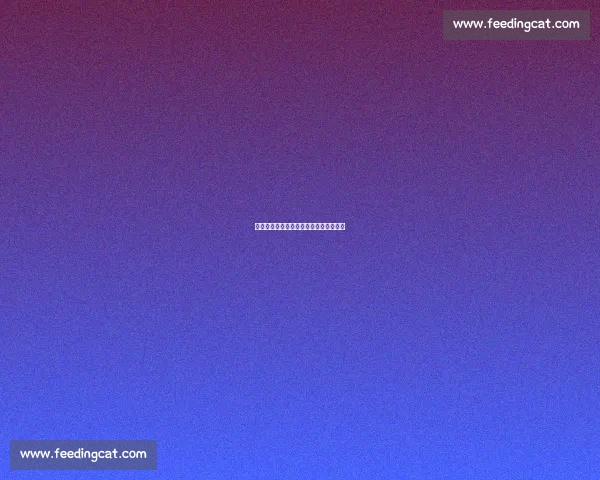 欧南巅峰对决：阿根廷双雄书写足坛史诗