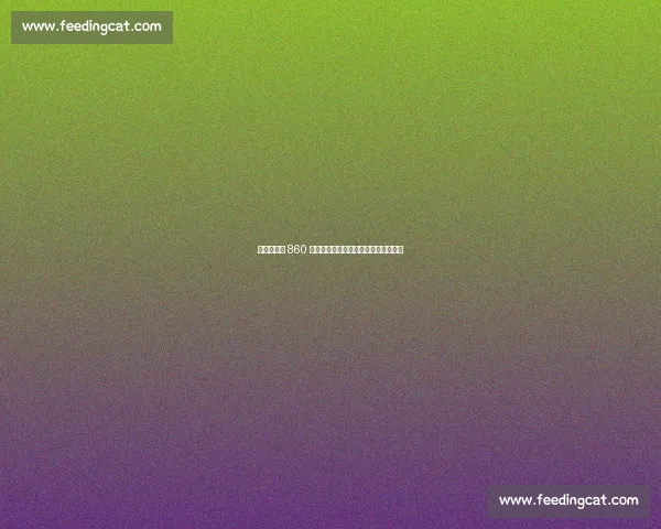 盖桑拒沙特 860 万欧年薪加盟维拉：职业生涯发展优先