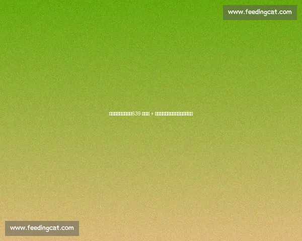 泰山亚冠退赛代价：639 万损失 + 两年禁赛，极端球迷行为成导火索