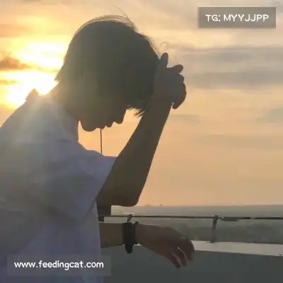 顾彩会