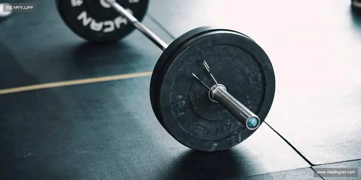 <strong>mksport体育</strong>🏒冰刀划过冰面，激情点燃寒冬 —— 体育的热血，从不因季节冷却！