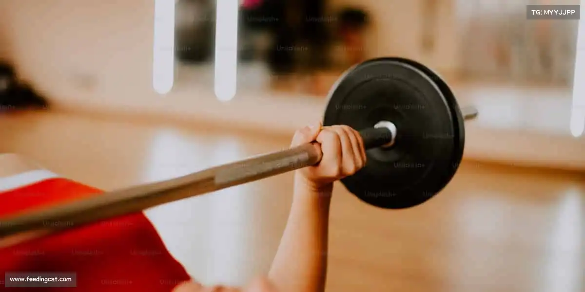 <strong>mksport体育</strong>🏊‍♀️碧波、赛场、跑道…… 哪里有你，哪里就是主场！