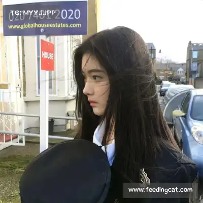 谭辰珊